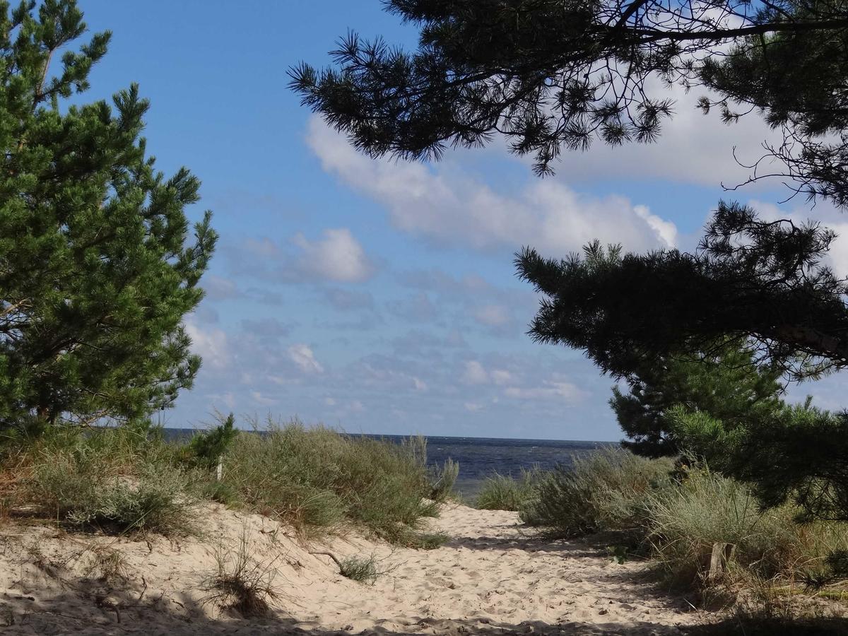 Fewo Fiete Trassenheide Bagian luar foto